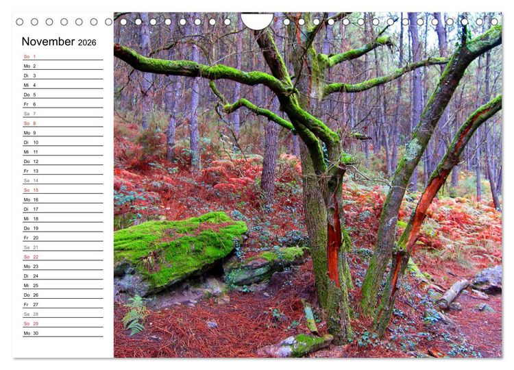 Produktbild: Jakobsweg - Camino Portugues Central (Wandkalender 2026 DIN A4 quer), CALVENDO Monatskalender
