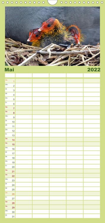 Produktbild: Familienplaner Die lieben Kleinen ... Tierkinder einfach zum Knuddeln (Wandkalender 2022 , 21 cm x 45 cm, hoch)