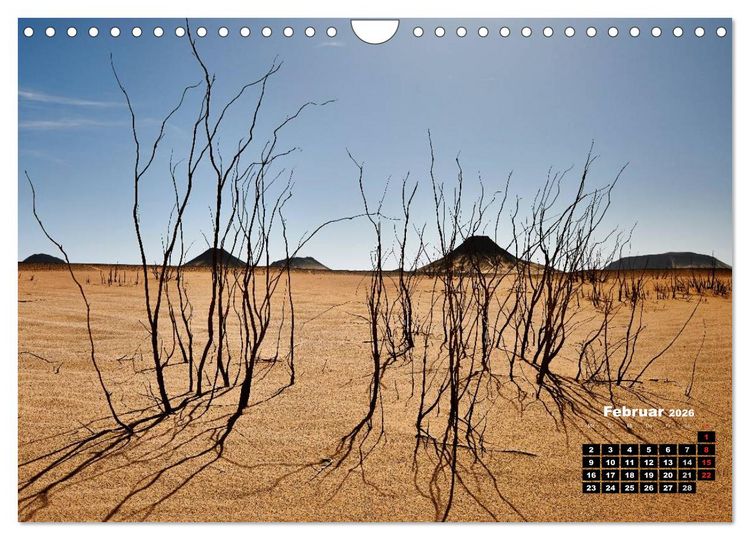 Produktbild: &Auml;gypten &ndash; westliche W&uuml;sten (Wandkalender 2026 DIN A4 quer), CALVENDO Monatskalender