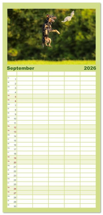 Produktbild: Familienplaner 2026 - Deutscher Terrier - ein leidenschaftlicher J&auml;ger mit 5 Spalten (Wandkalender, 21 x 45 cm) CALVENDO
