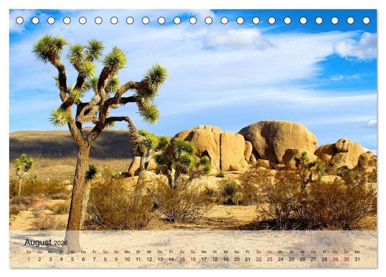 Produktbild: Magische Farbspiele der W&uuml;ste (Tischkalender 2026 DIN A5 quer), CALVENDO Monatskalender