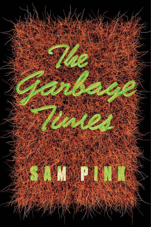 Produktbild: The Garbage Times/White Ibis