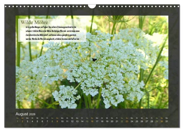 Produktbild: Outdoor-Survival-Kalender (Wandkalender 2026 DIN A3 quer), CALVENDO Monatskalender