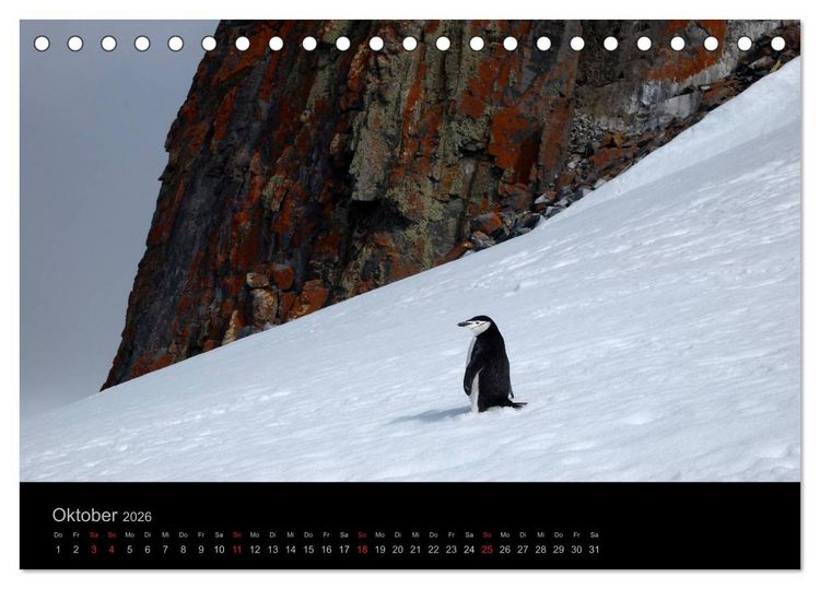 Produktbild: Antarktische Impressionen (Tischkalender 2026 DIN A5 quer), CALVENDO Monatskalender