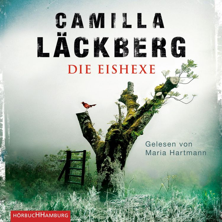 Produktbild: Die Eishexe (Ein Falck-Hedstr&ouml;m-Krimi 10)