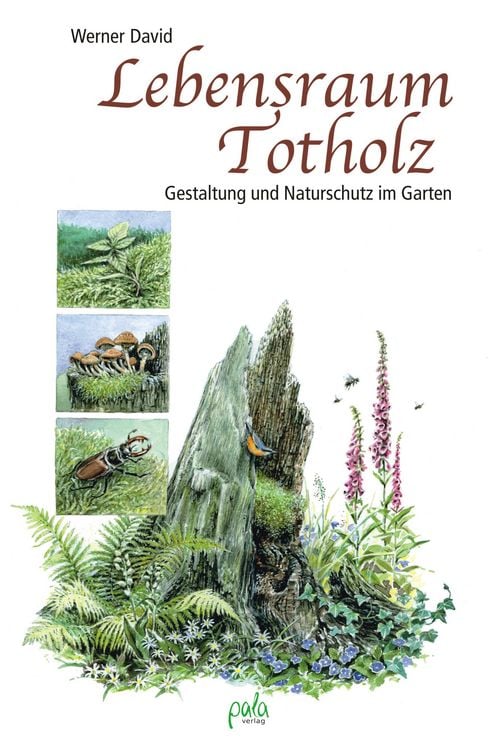 Produktbild: Lebensraum Totholz