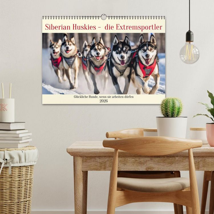 Produktbild: Siberian Huskies - die Extremsportler (Wandkalender 2026 DIN A3 quer), CALVENDO Monatskalender