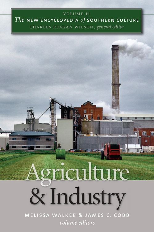 Produktbild: The New Encyclopedia of Southern Culture