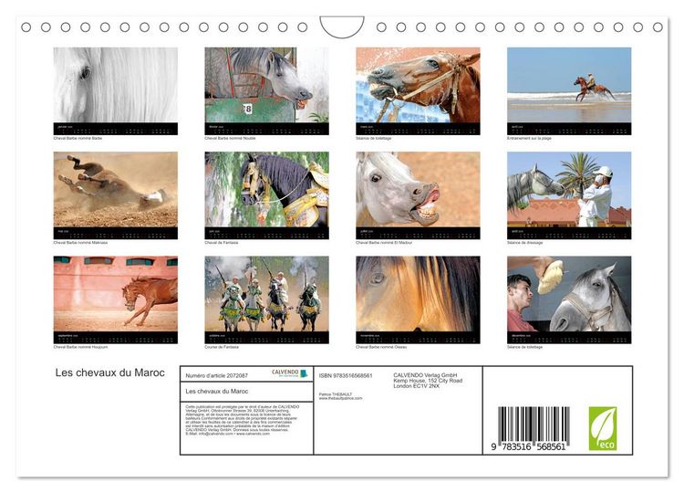 Produktbild: Les chevaux du Maroc (Calendrier mural 2026 DIN A4 vertical), CALVENDO calendrier mensuel