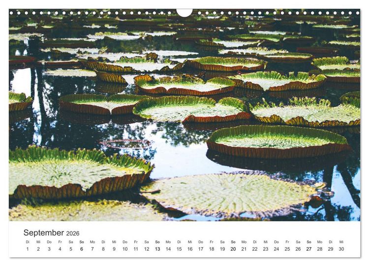 Produktbild: Traumhaftes Mauritius (Wandkalender 2026 DIN A3 quer), CALVENDO Monatskalender