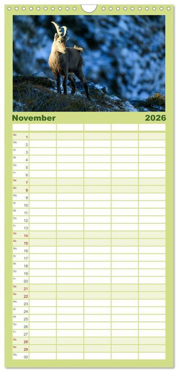 Produktbild: Familienplaner 2026 - Steinbock - K&ouml;nig der Alpen mit 5 Spalten (Wandkalender, 21 x 45 cm) CALVENDO
