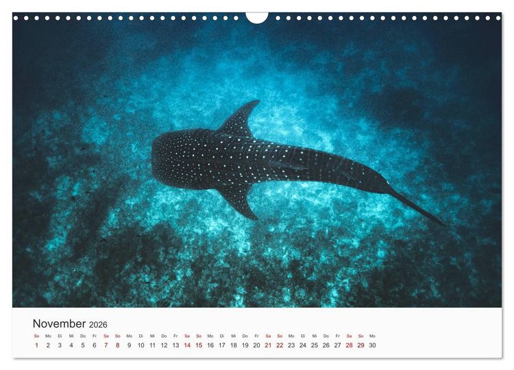 Produktbild: Malediven - Die sch&ouml;nsten Str&auml;nde der Welt. (Wandkalender 2026 DIN A3 quer), CALVENDO Monatskalender