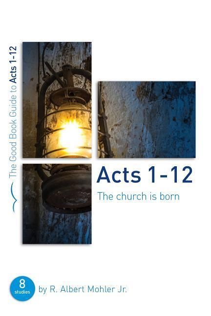 Produktbild: Acts 1-12: The Church Is Born