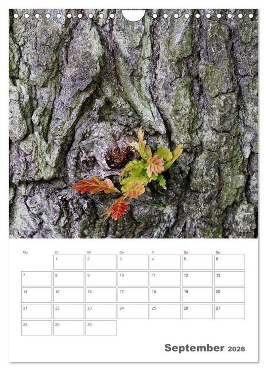 Produktbild: Planen mit dem Symbol der inneren St&auml;rke (Wandkalender 2026 DIN A4 hoch), CALVENDO Monatskalender