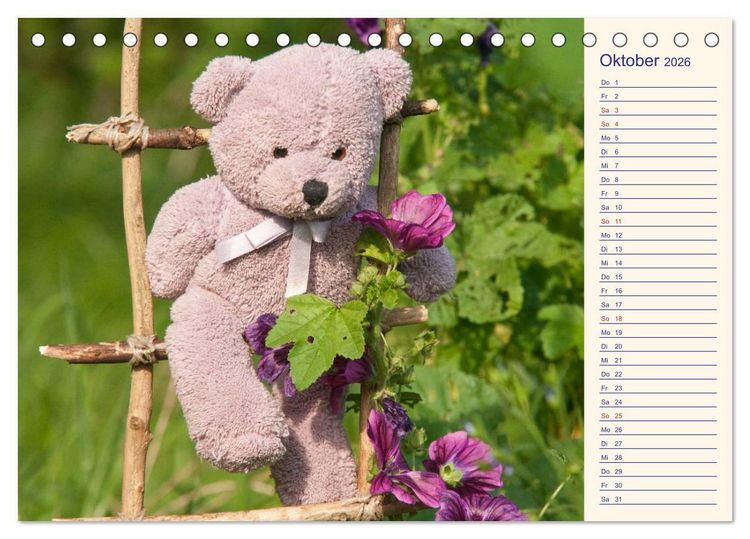 Produktbild: Geliebte B&auml;ren - Teddys (Tischkalender 2026 DIN A5 quer), CALVENDO Monatskalender