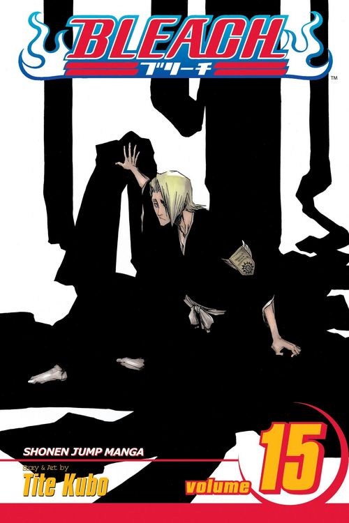 Produktbild: Bleach, 15