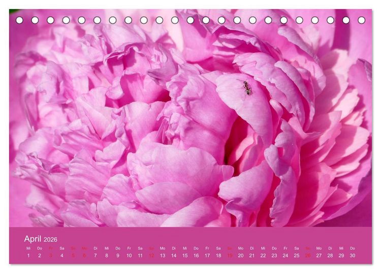 Produktbild: Fauna trifft Flora - Tierischer Besuch im Pflanzenreich (Tischkalender 2026 DIN A5 quer), CALVENDO Monatskalender