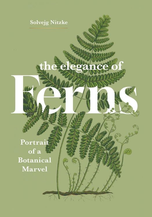 Produktbild: The Elegance of Ferns