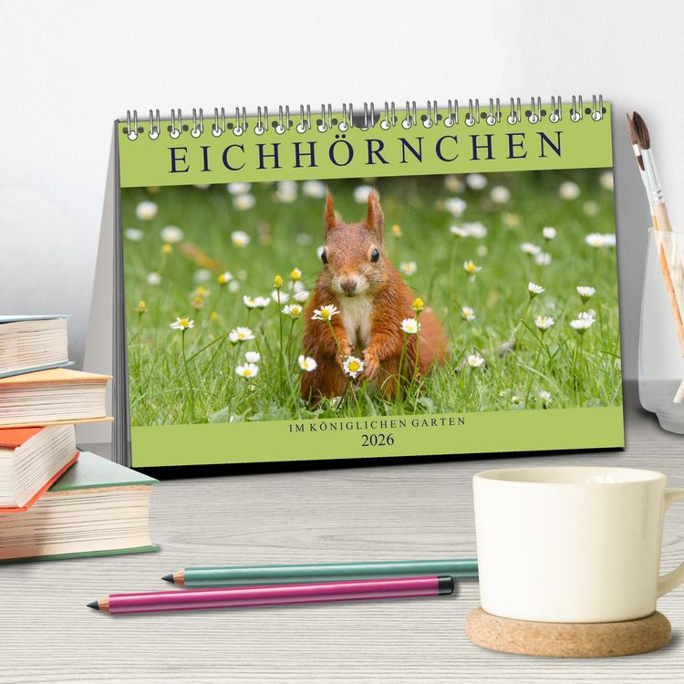 Produktbild: Eichh&ouml;rnchen im K&ouml;niglichen Garten (Tischkalender 2026 DIN A5 quer), CALVENDO Monatskalender