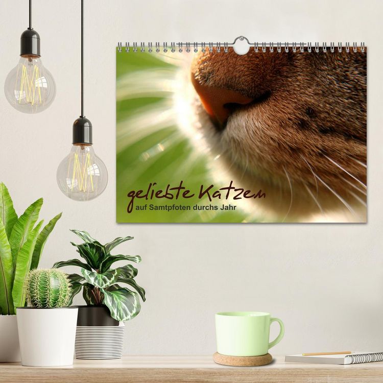 Produktbild: geliebte Katzen - auf Samtpfoten durchs Jahr (Wandkalender 2026 DIN A4 quer), CALVENDO Monatskalender