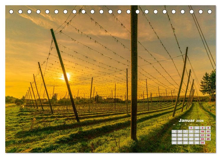 Produktbild: Hopfenland Holledau (Tischkalender 2026 DIN A5 quer), CALVENDO Monatskalender