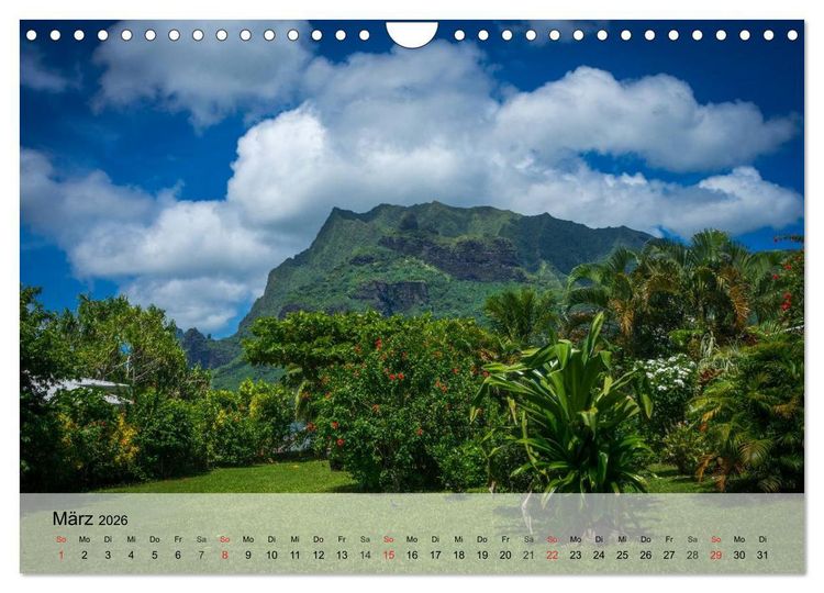 Produktbild: S&uuml;dseetr&auml;ume. Paradiese im Pazifik (Wandkalender 2026 DIN A4 quer), CALVENDO Monatskalender