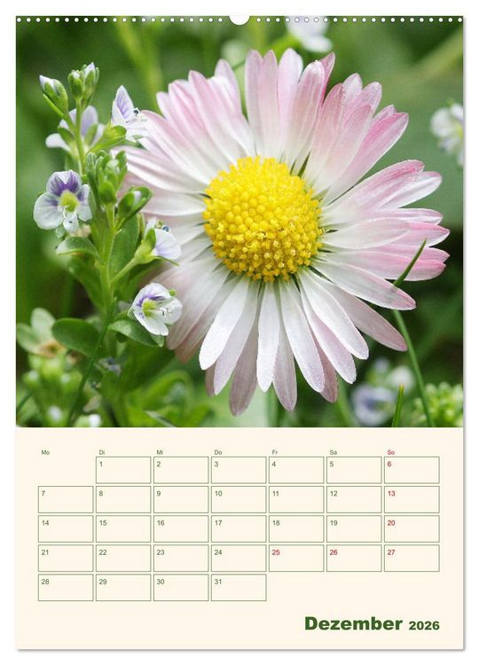 Produktbild: Vertr&auml;umte G&auml;nsebl&uuml;mchen (Wandkalender 2026 DIN A2 hoch), CALVENDO Monatskalender