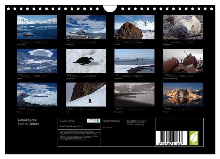Produktbild: Antarktische Impressionen (Wandkalender 2026 DIN A4 quer), CALVENDO Monatskalender