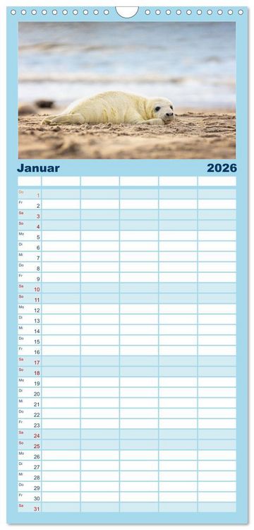 Produktbild: Familienplaner 2026 - Junge Kegelrobben mit 5 Spalten (Wandkalender, 21 x 45 cm) CALVENDO