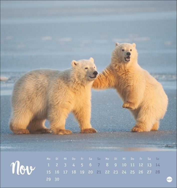 Produktbild: B&auml;renstark Postkartenkalender 2027