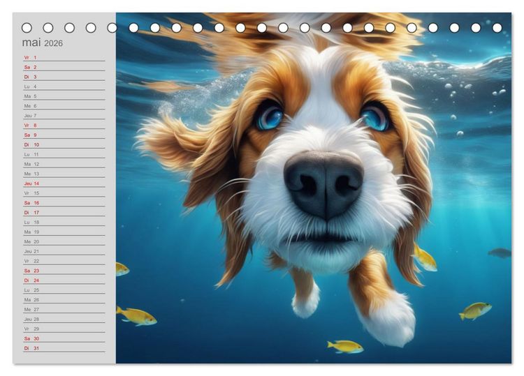 Produktbild: Chiens : les nageurs intr&eacute;pides (Calendrier de bureau 2026 DIN A5 vertical), CALVENDO calendrier mensuel