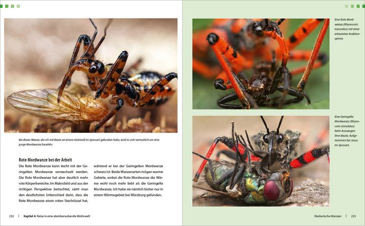 Produktbild: Extreme Wildlife-Makrofotografie