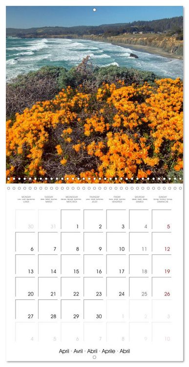 Produktbild: Dreaming California (Wall Calendar 2026 12 &times; 12 Inch) CALVENDO 12 Month Wall Calendar