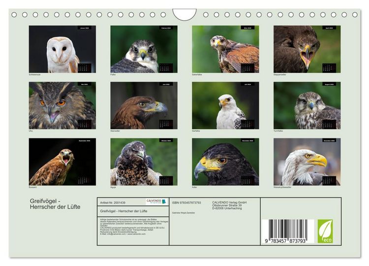 Produktbild: Greifv&ouml;gel - Herrscher der L&uuml;fte (Wandkalender 2026 DIN A4 quer), CALVENDO Monatskalender