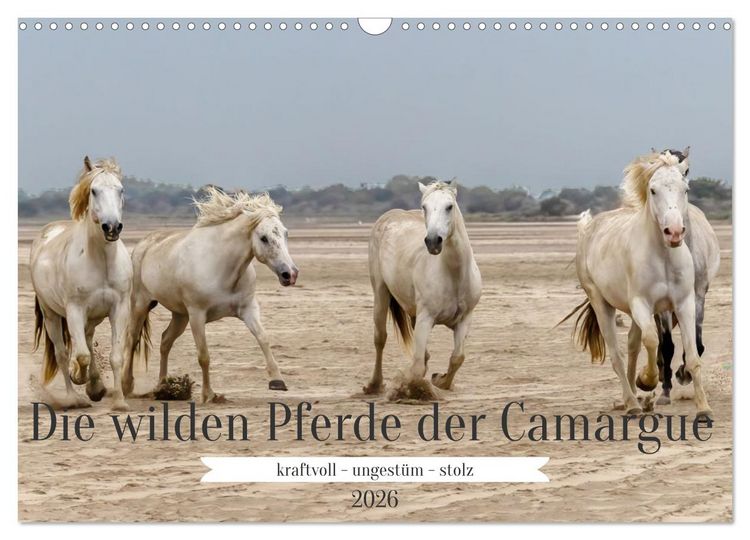 Produktbild: Die wilden Pferde der Camargue (Wandkalender 2026 DIN A3 quer), CALVENDO Monatskalender
