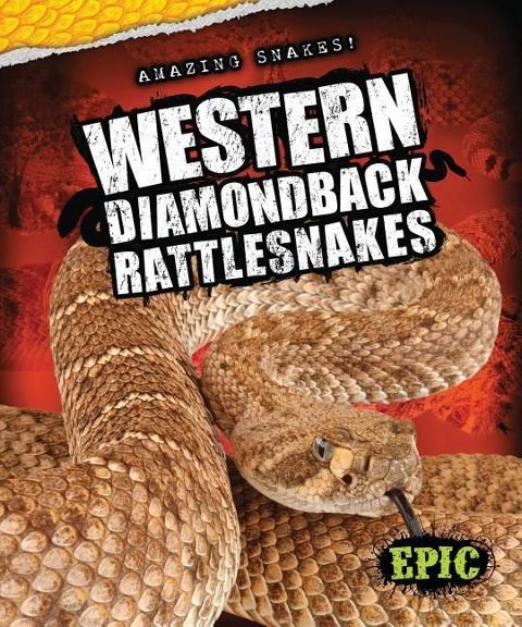 Produktbild: Western Diamondback Rattlesnakes