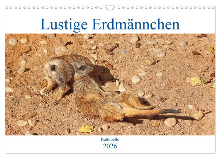 Produktbild: Lustige Erdm&auml;nnchen (Wandkalender 2026 DIN A3 quer), CALVENDO Monatskalender