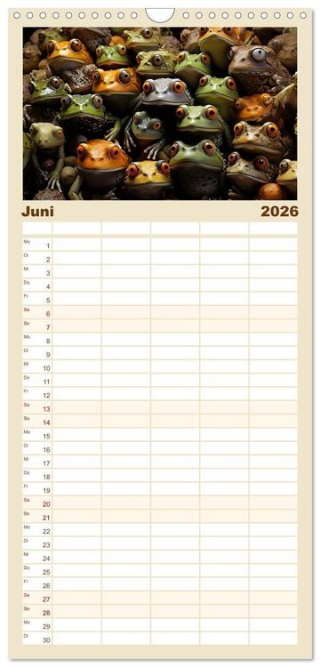Produktbild: Familienplaner 2026 - Mehr ist einfach besser mit 5 Spalten (Wandkalender, 21 x 45 cm) CALVENDO