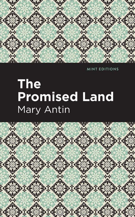 Produktbild: The Promised Land
