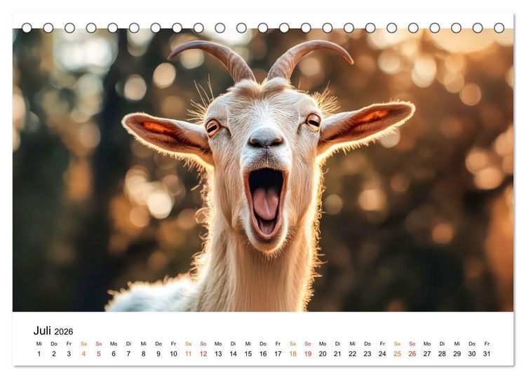 Produktbild: Ziegen - Bocksprung durch das Jahr (Tischkalender 2026 DIN A5 quer), CALVENDO Monatskalender