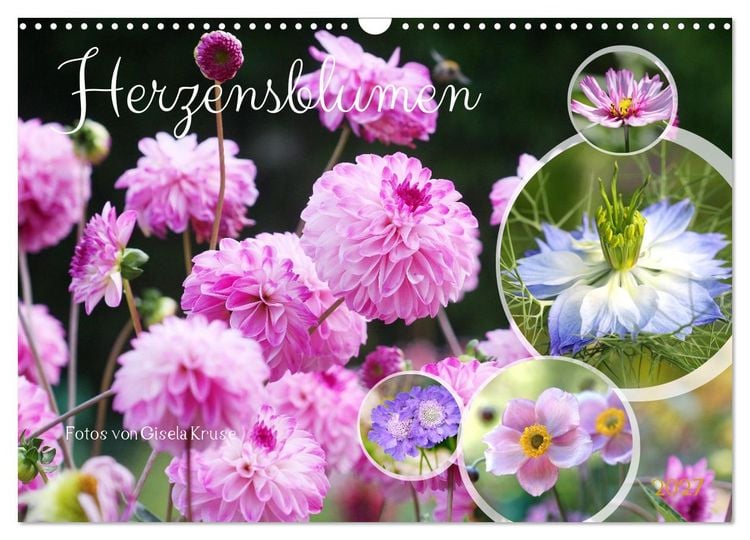 Produktbild: Herzensblumen (Wandkalender 2027 DIN A3 quer), CALVENDO Monatskalender