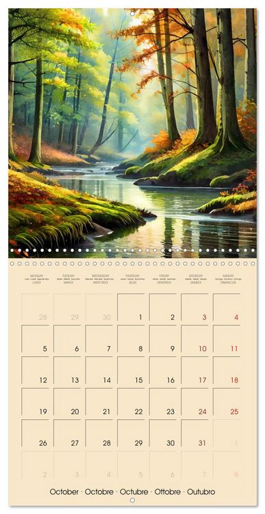 Produktbild: The forest through the seasons (Wall Calendar 2026 12 &times; 12 Inch) CALVENDO 12 Month Wall Calendar