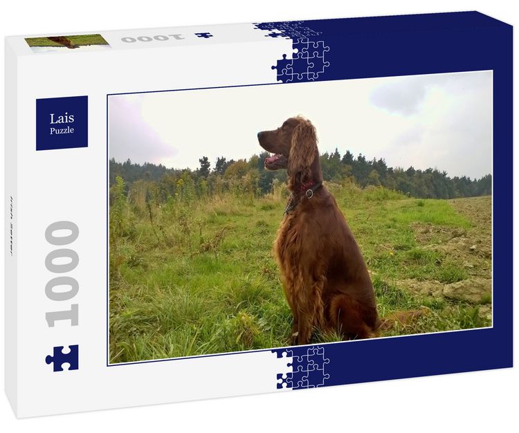 Produktbild: Lais Puzzle Irish Setter 1000 Teile