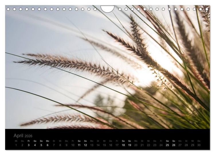 Produktbild: Natur im Detail (Wandkalender 2026 DIN A4 quer), CALVENDO Monatskalender