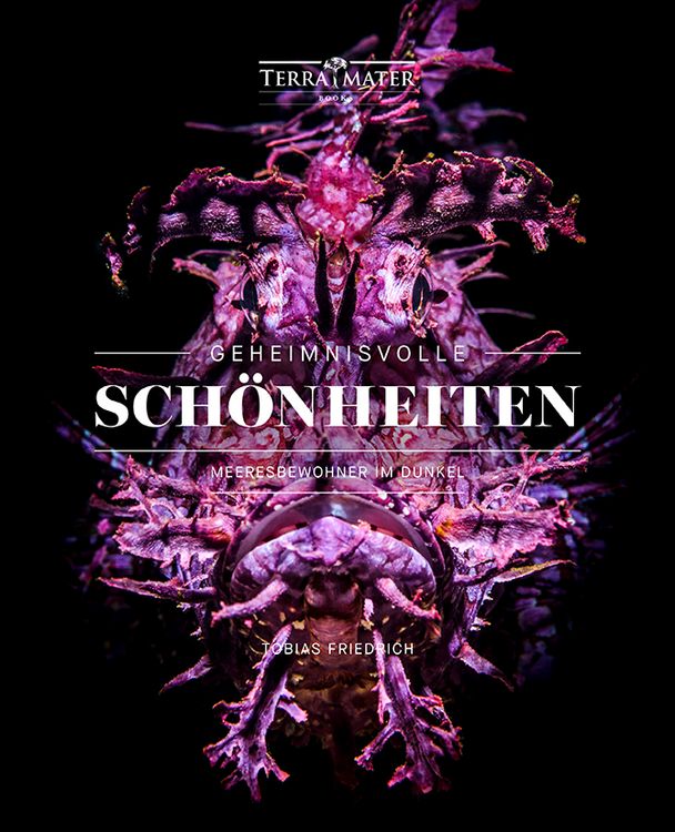 Produktbild: Geheimnisvolle Sch&ouml;nheiten