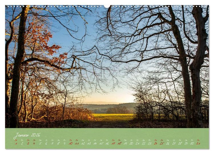 Produktbild: Waldwelten (hochwertiger Premium Wandkalender 2026 DIN A2 quer), Kunstdruck in Hochglanz