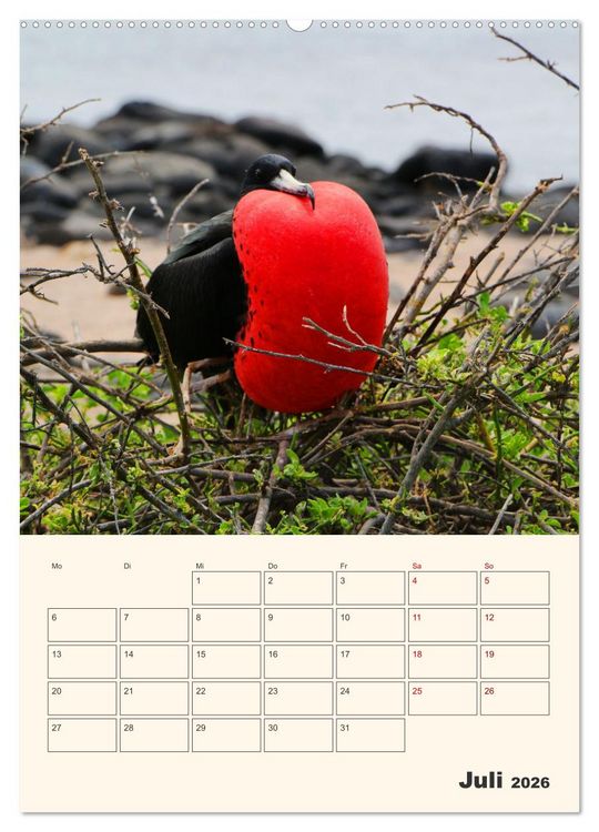 Produktbild: Ecuador - Terminplaner (Wandkalender 2026 DIN A2 hoch), CALVENDO Monatskalender