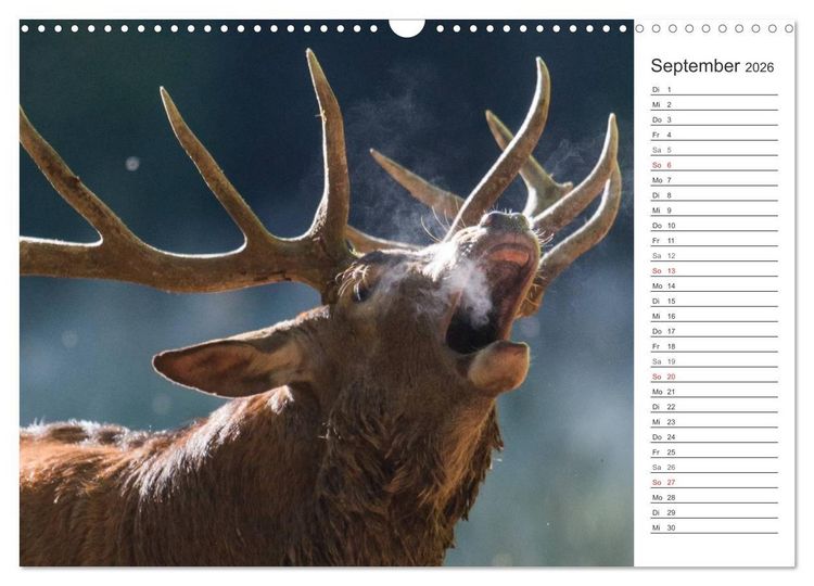 Produktbild: Emotionale Momente: Wild und Jagd. (Wandkalender 2026 DIN A3 quer), CALVENDO Monatskalender