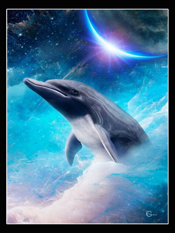 Produktbild: CALVENDO Puzzle Geheimnisvolle Delfine | 1000 Teile Lege-Gr&ouml;&szlig;e 64x48cm Foto-Puzzle f&uuml;r gl&uuml;ckliche Stunden
