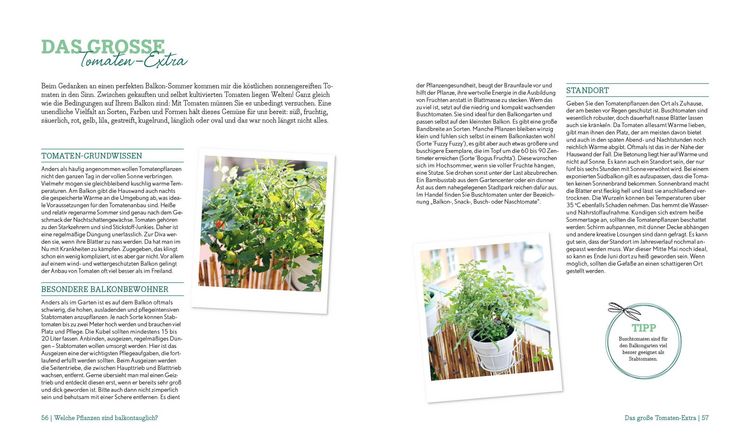 Produktbild: Mein kreativer Stadtbalkon &ndash; DIY-Projekte und G&auml;rtnerwissen pr&auml;sentiert vom Garten Fr&auml;ulein